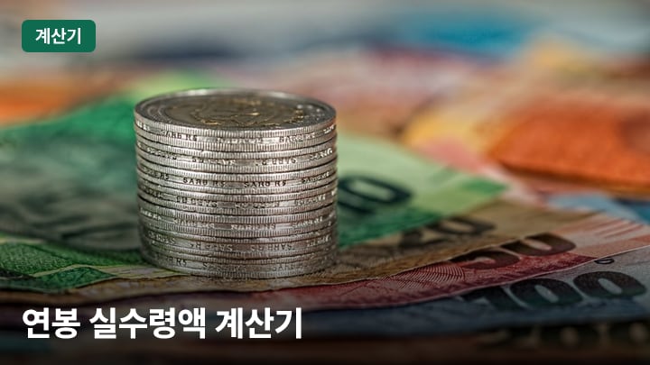 연봉 실수령액 계산기