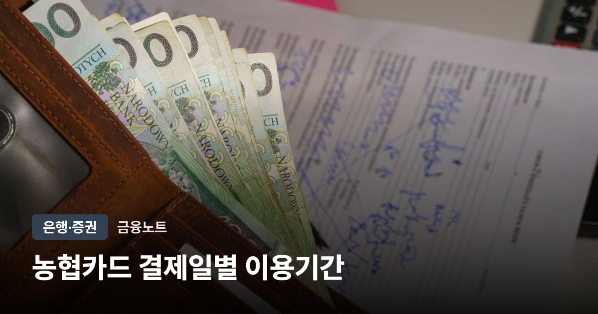 농협카드 결제일별 이용기간 대표 이미지