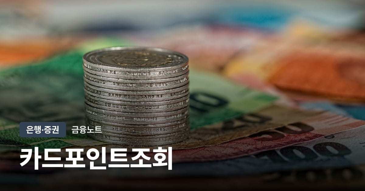 카드포인트조회 대표 이미지