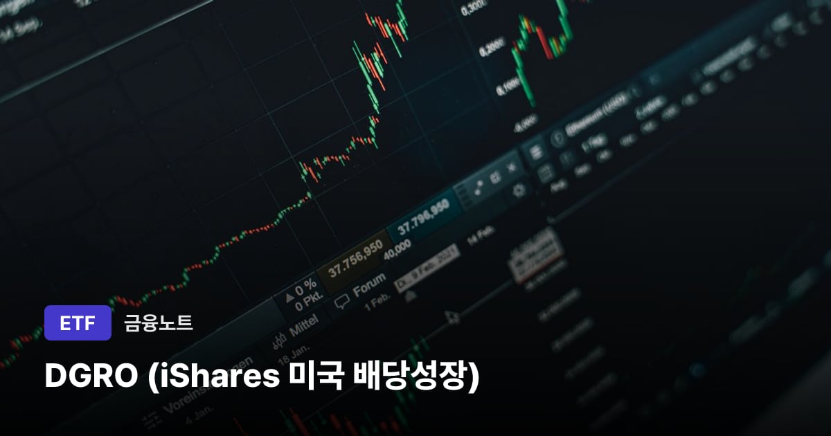 DGRO (iShares 미국 배당성장) 대표 이미지