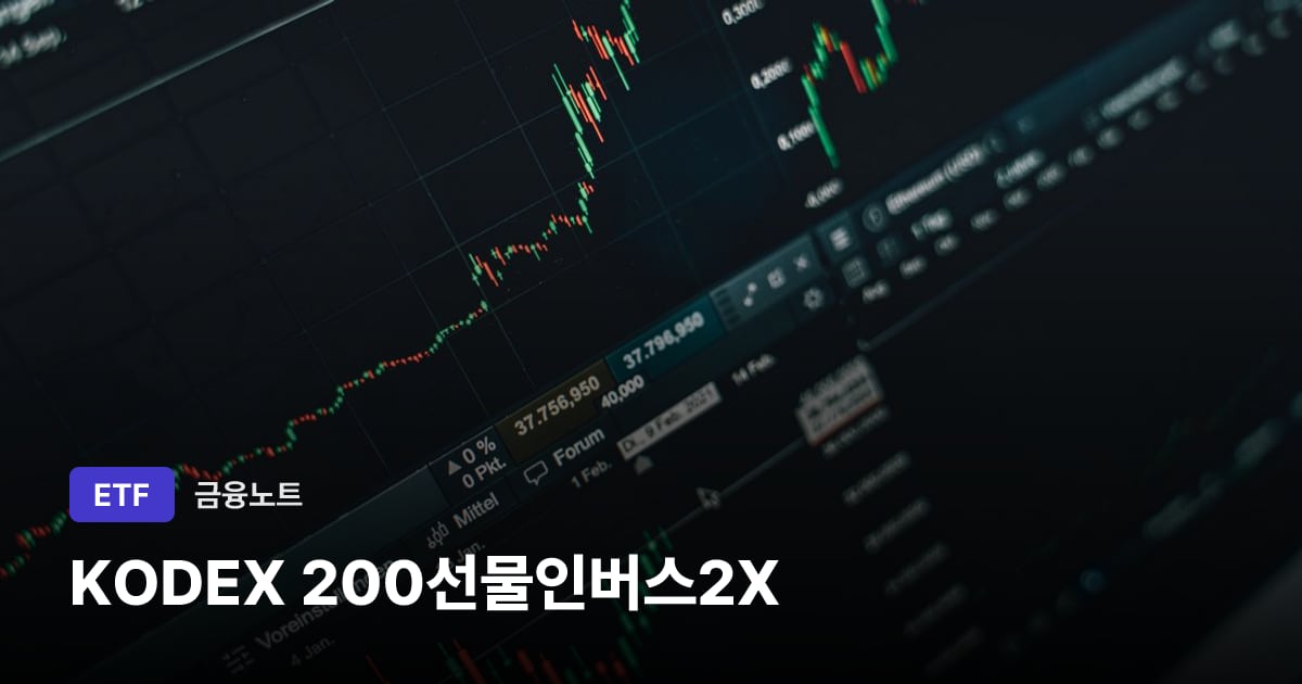 KODEX 200선물인버스2X 대표 이미지