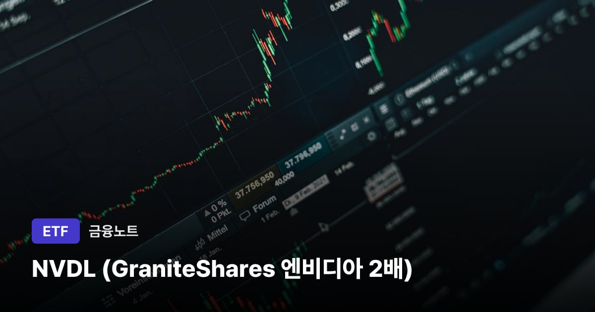 NVDL (GraniteShares 엔비디아 2배) 대표 이미지