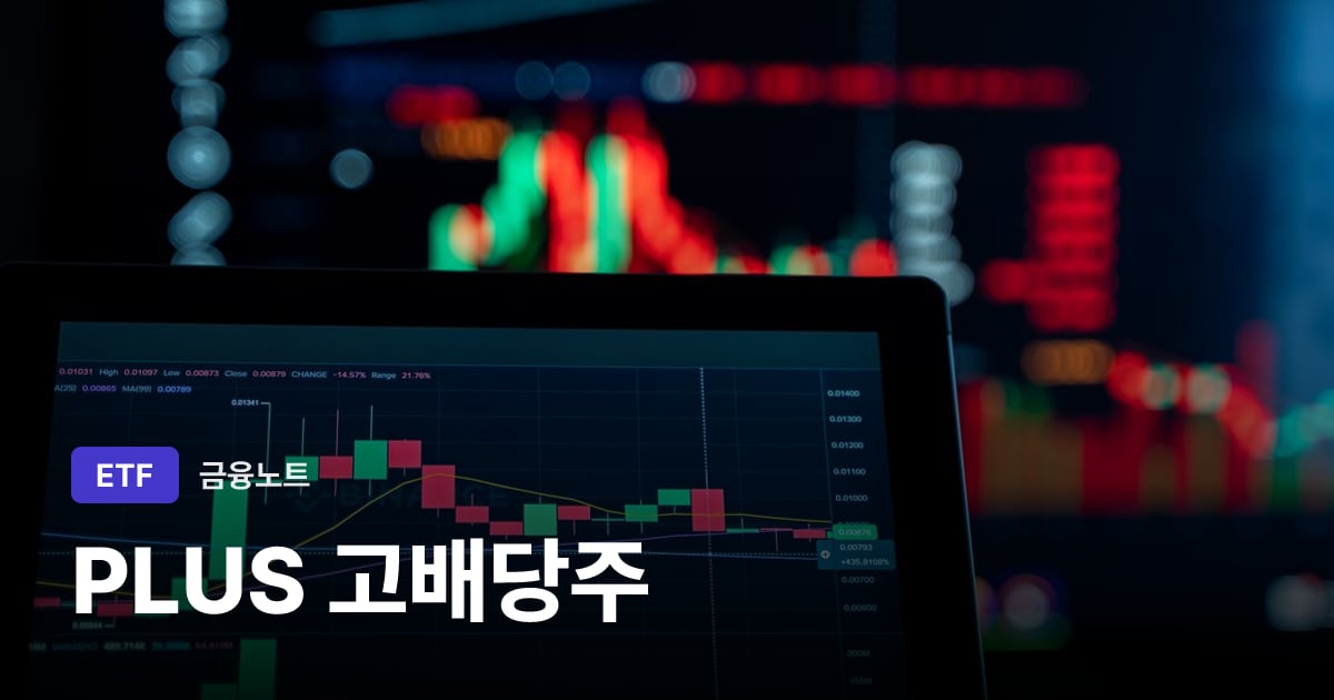 PLUS 고배당주 대표 이미지