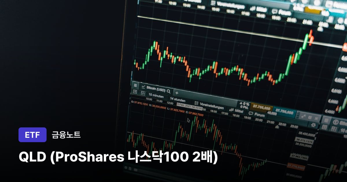 QLD (ProShares 나스닥100 2배) 대표 이미지