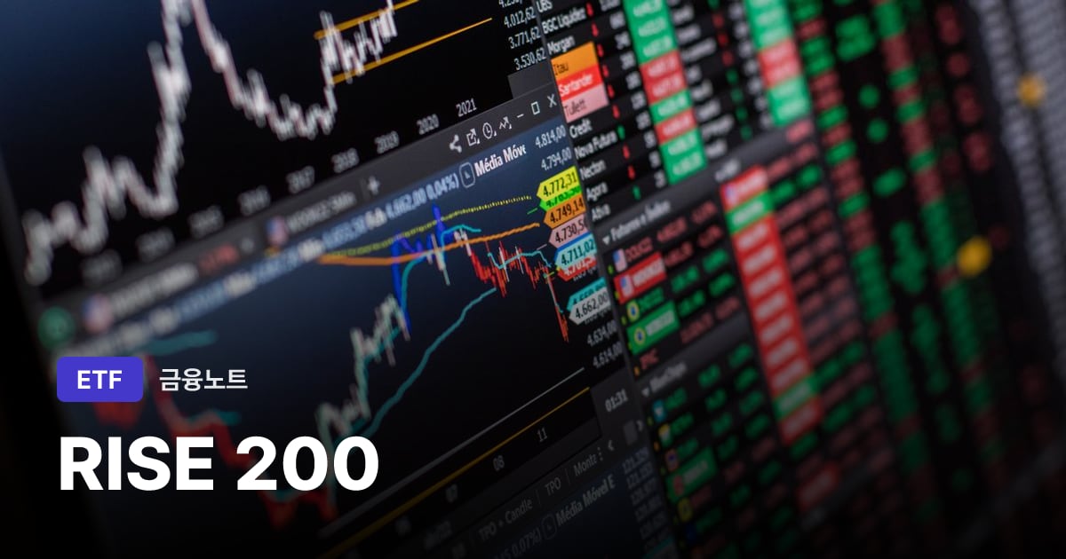 RISE 200 대표 이미지