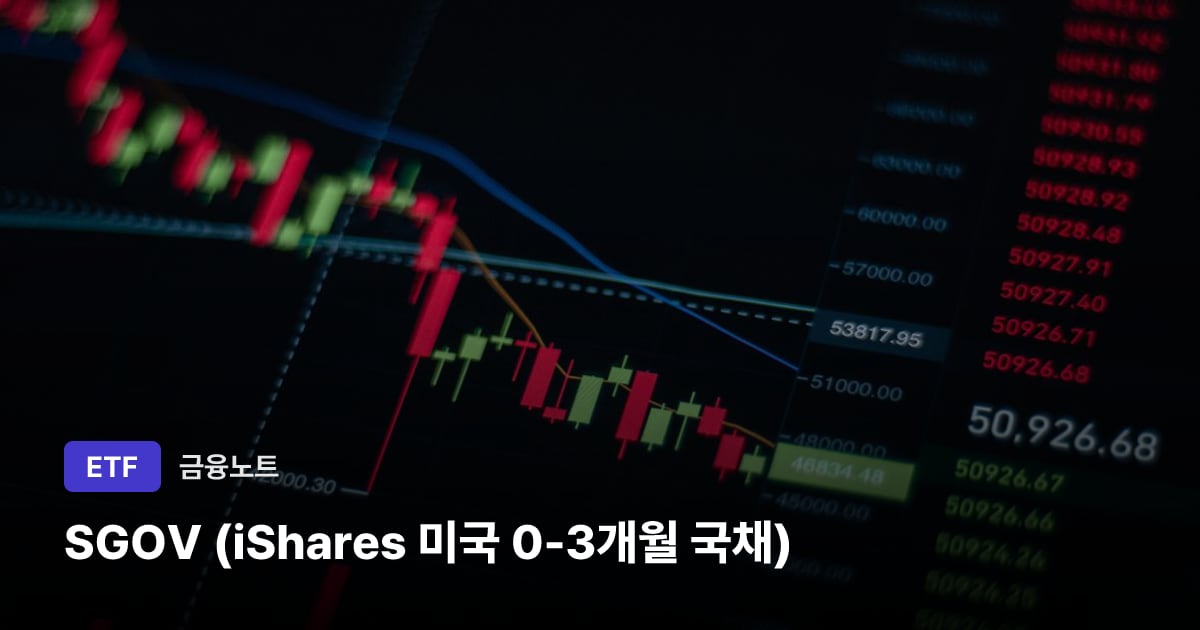SGOV (iShares 미국 0-3개월 국채) 대표 이미지
