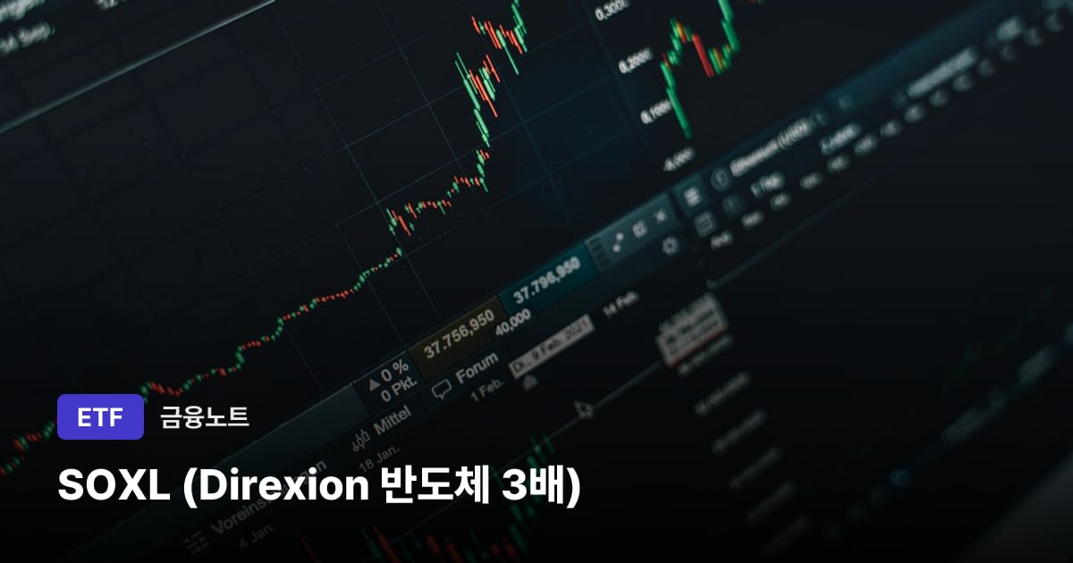 SOXL (Direxion 반도체 3배) 대표 이미지