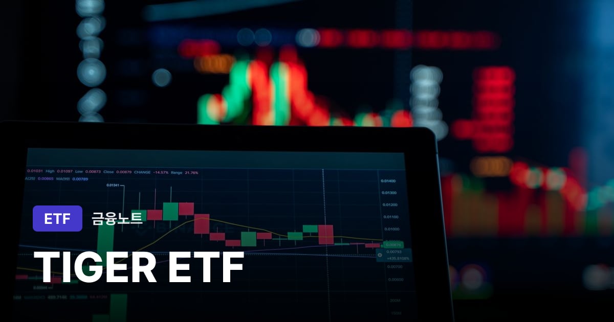 TIGER ETF
