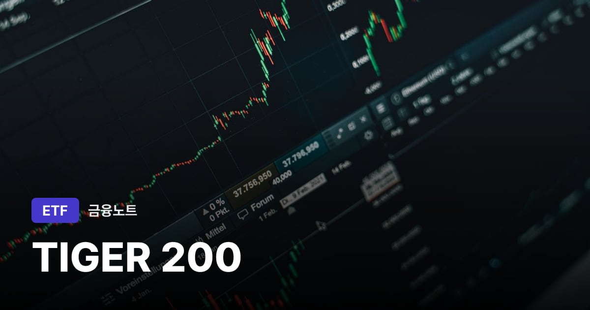 TIGER 200 대표 이미지