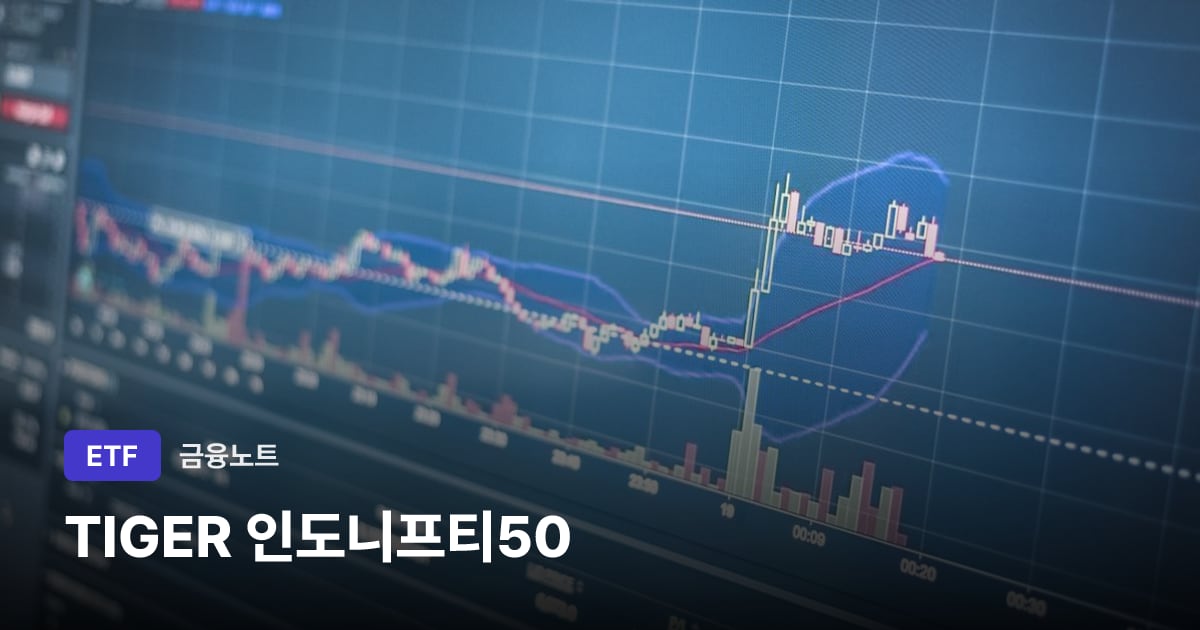 TIGER 인도니프티50 대표 이미지