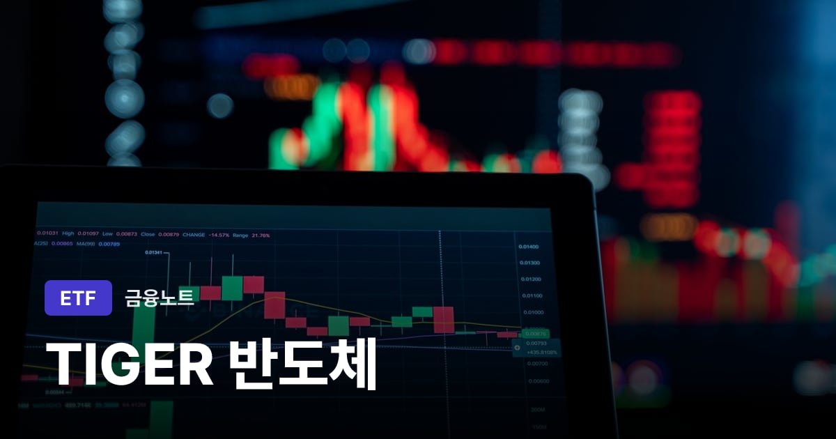 TIGER 반도체 대표 이미지
