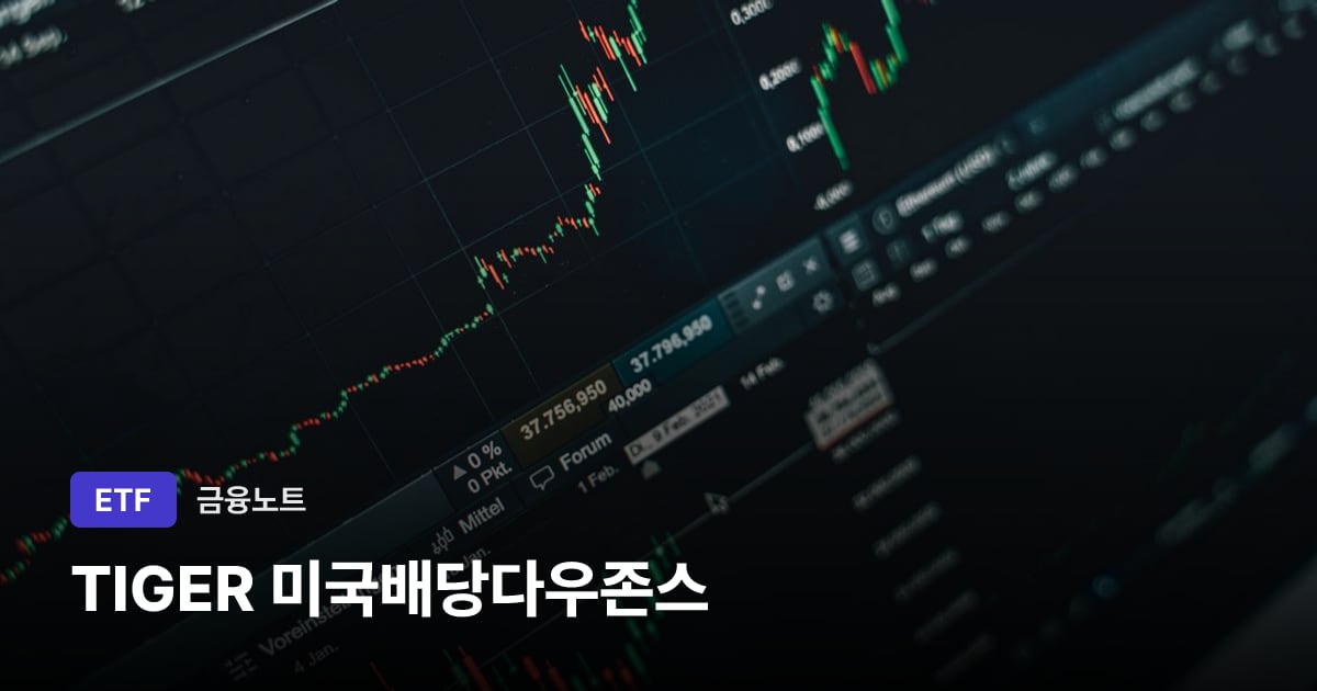 TIGER 미국배당다우존스 대표 이미지