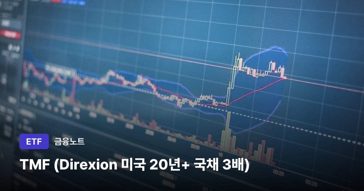 TMF (Direxion 미국 20년+ 국채 3배) 대표 이미지