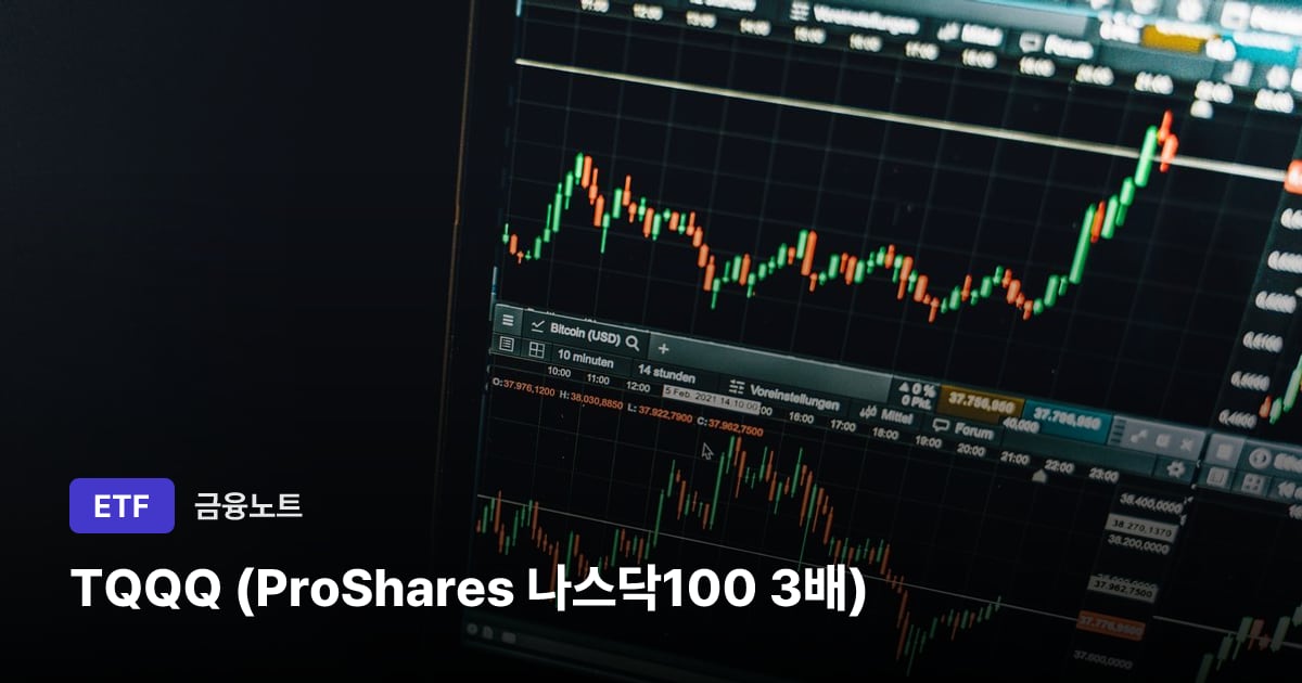 TQQQ (ProShares 나스닥100 3배) 대표 이미지