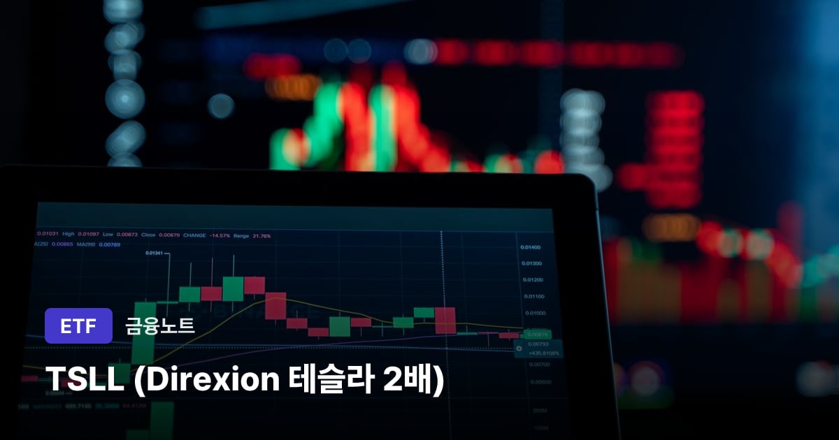 TSLL (Direxion 테슬라 2배) 대표 이미지