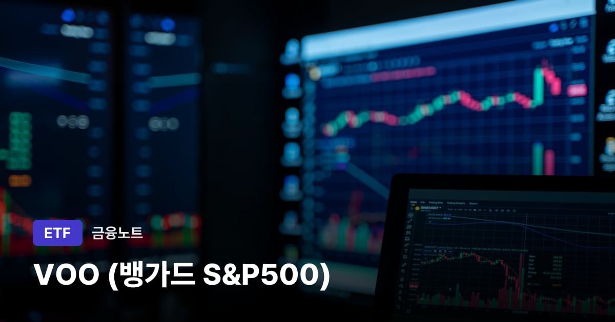 VOO (뱅가드 S&P500) 대표 이미지