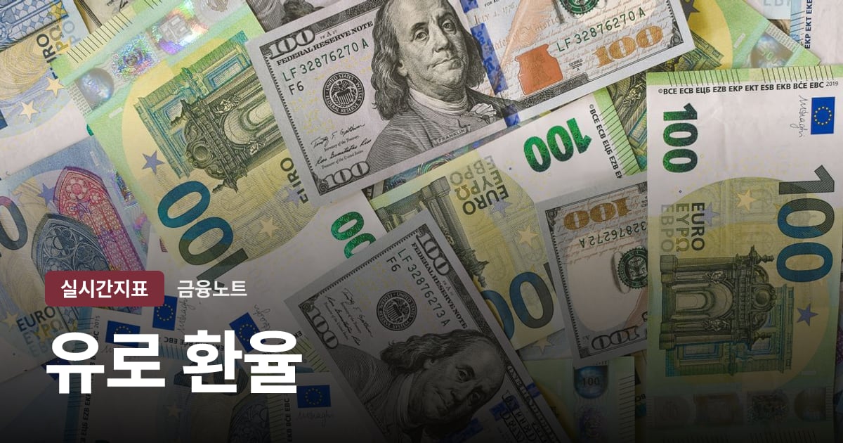 유로 환율 대표 이미지
