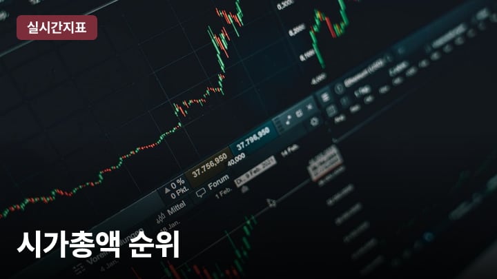 시가총액 순위